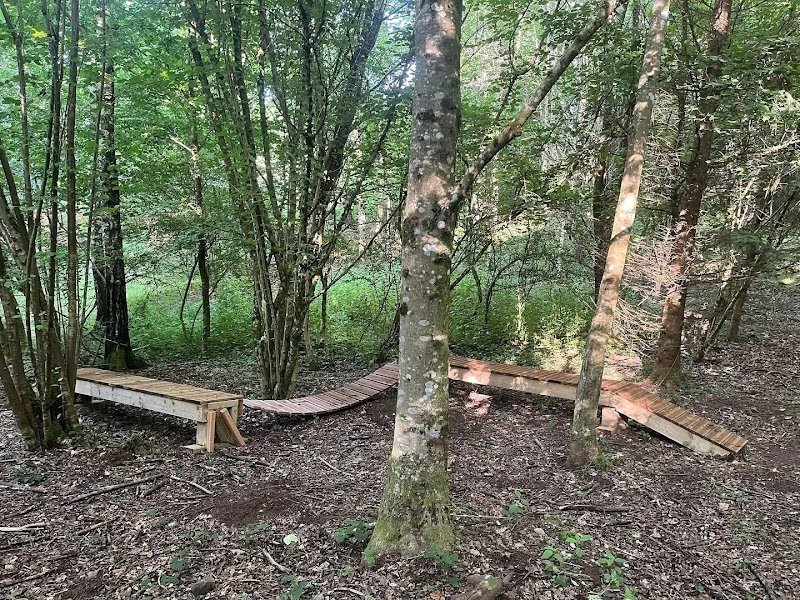 Ensemble vers le bonheur - Éducateur comportementaliste canin - photo 2