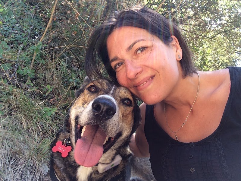 Stephandco Stephanie Hendrickx Comportementaliste félin et canin