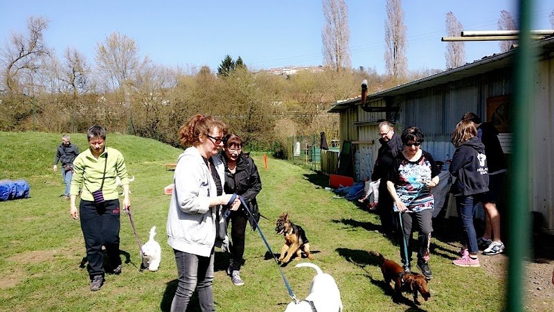 Club canin Bouxières-aux-Dames - photo 2