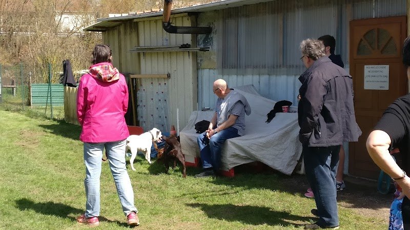 Club canin Bouxières-aux-Dames - photo 3