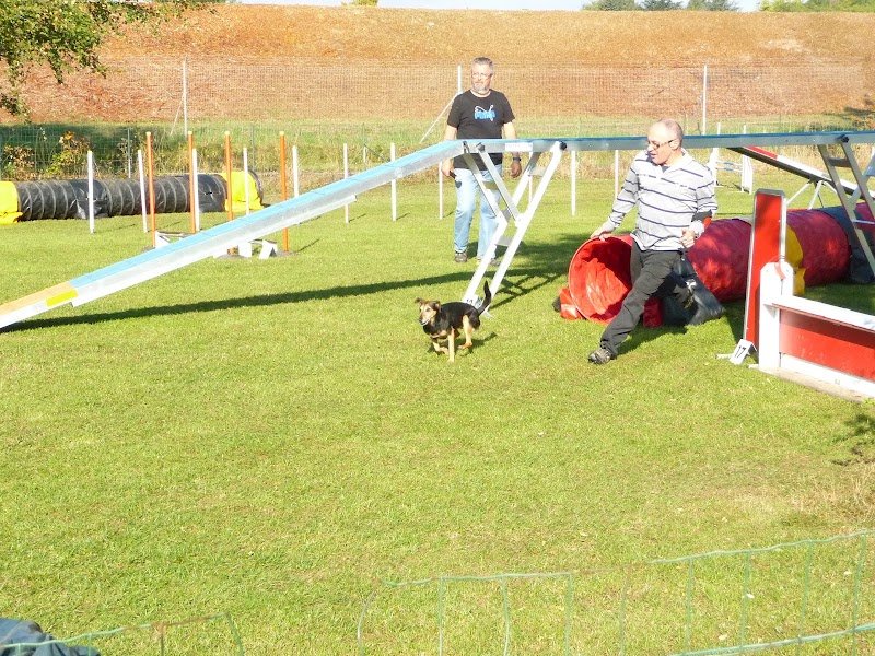 Club Canin de la Vallée de la Bièvre - photo 3