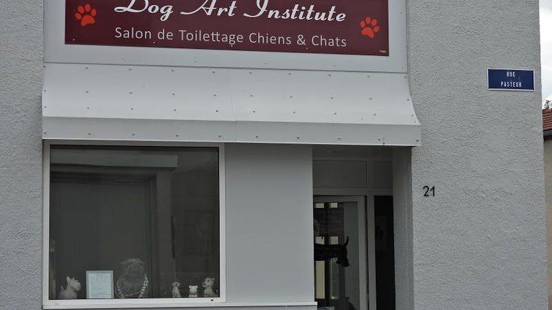 DogArt Institute Salon de Toilettage