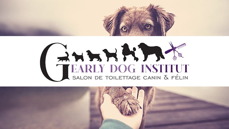 G'Early Dog Institut - photo 1