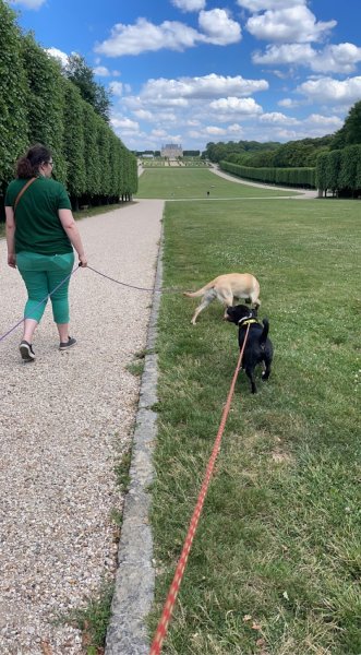 Educ Eternity Dogs - photo 3