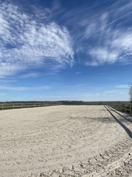 Louise Laval Dressage - photo 2