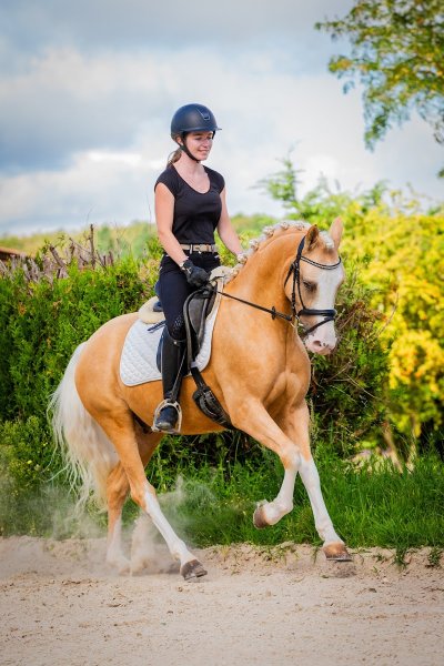 Louise Laval Dressage - photo 3