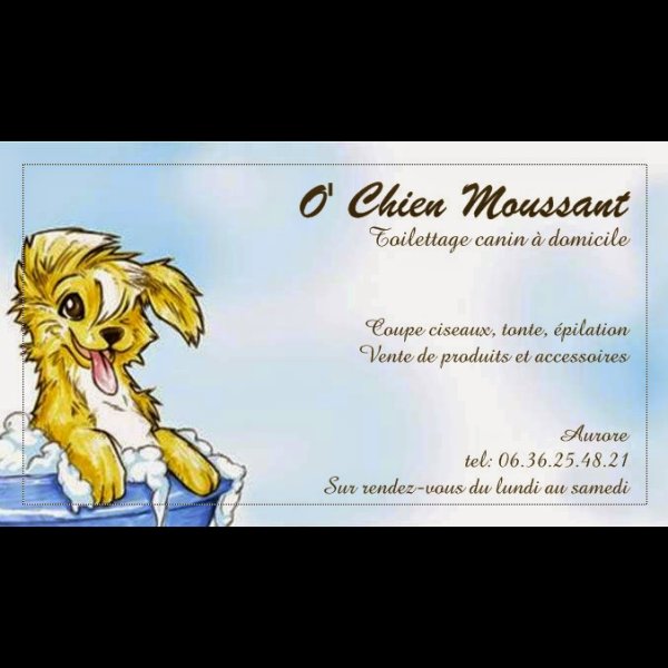 O' Chien Moussant - photo 1