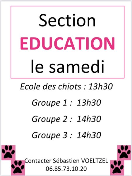 Club Canin Provinois - photo 2