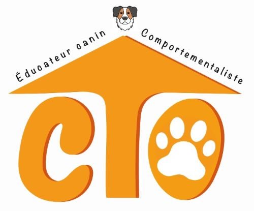 CTO Educateur Canin Comportementaliste