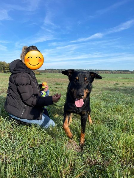 Léo&Corso - Éducation & Comportementalisme Canin - Seine Saint Denis 93 - photo 3