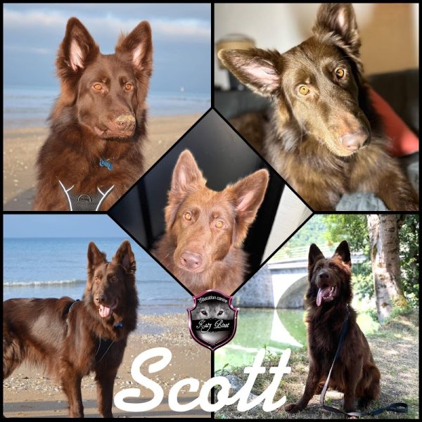 SARL E2Y Services Canin - photo 2