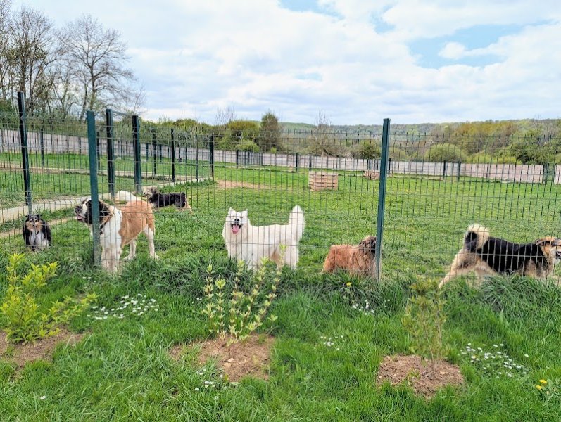 ECPV-Espace Canin de la Plaine Vosgienne