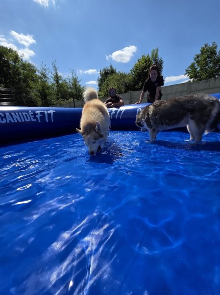 ECPV-Espace Canin de la Plaine Vosgienne - photo 3
