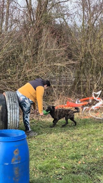 Centre d'éducation canin Pro Canis asbl - photo 2