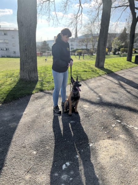 Dog & Picture - photo 2