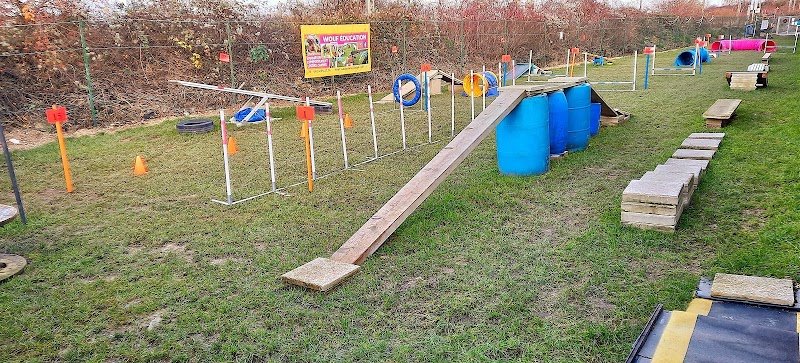 Sports et loisirs canins à Reims