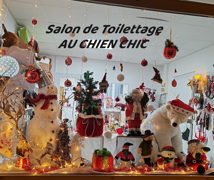 Au chien Chic 🐾 - photo 1