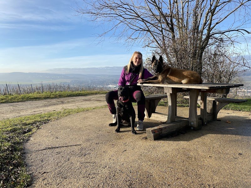 Symdog51 éducation canine - photo 1