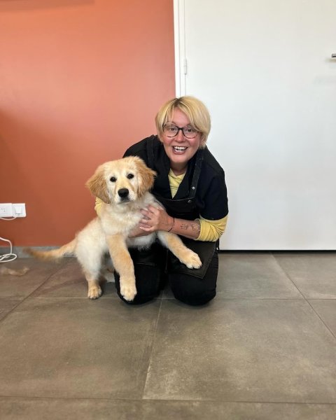 La patte d'Indiana Reims, salon de toilettage, praticienne en massage canin. - photo 2