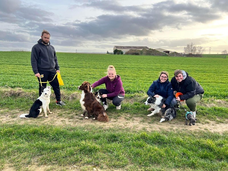 Éducation Canine Suszka Lucie