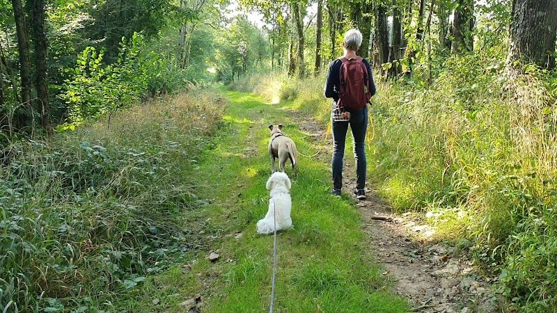 Cani'Kat - Éducateur canin - photo 1