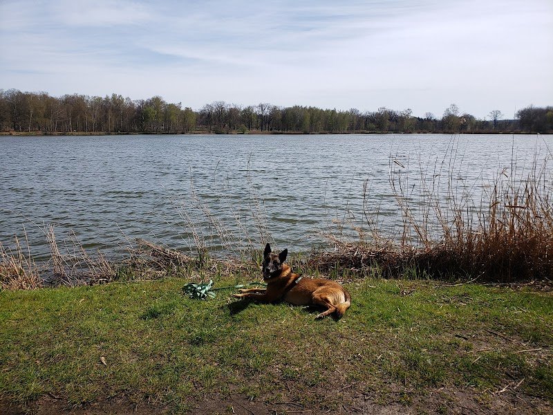 Cani'Kat - Éducateur canin - photo 2