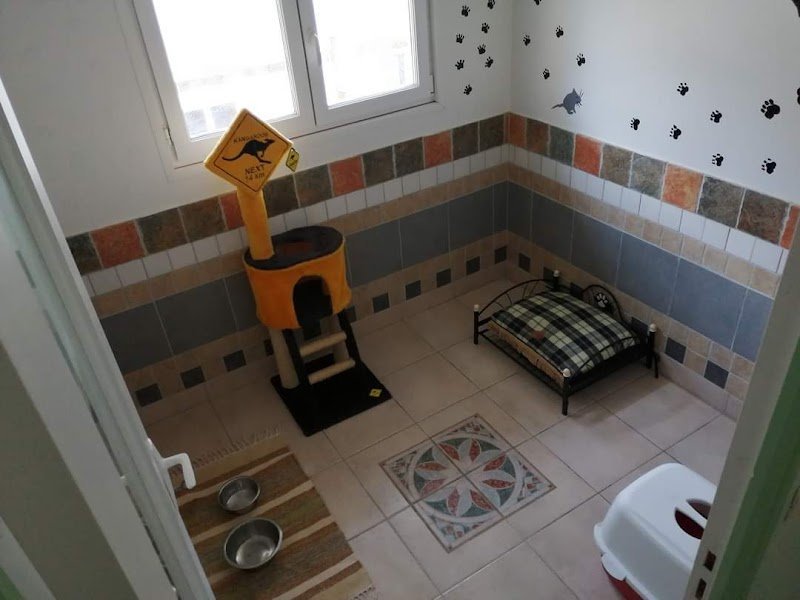 Service Canin Champenois - photo 2