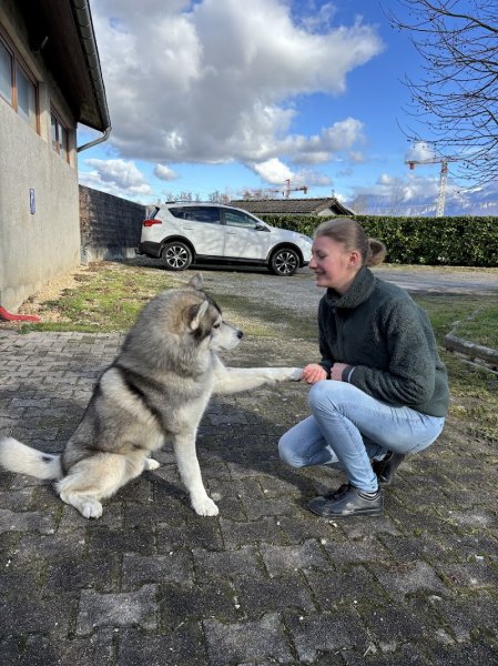 Maitre & Museau - Educateur comportementaliste canin