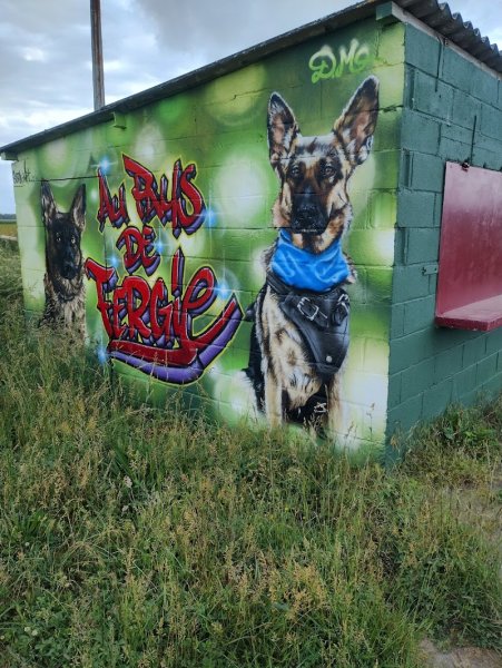 Educateur comportementaliste Canin Michel Gioe