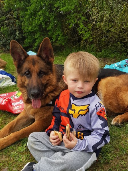 Elevage et pension canine du Bois Blanc Val (SARL Des Cotes Noires) - photo 2