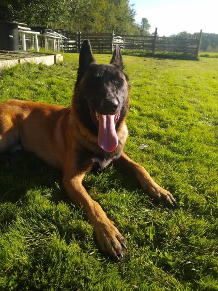 Association Athletic Canin 77 - photo 1