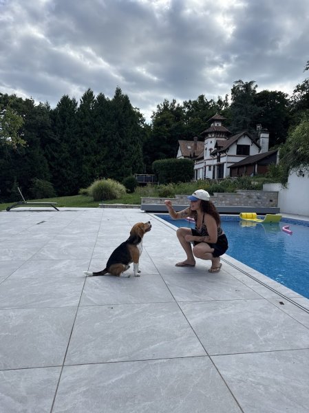 Doggizzy - Education Canine - Paris et Val-de-Marne (75-94) - photo 3