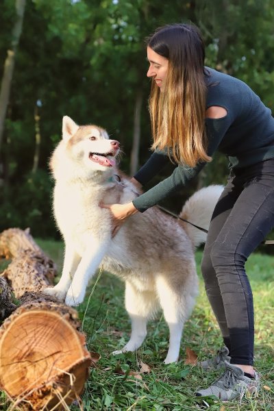 Melicanin éducateur canin - photo 1
