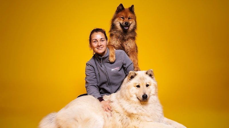 Os'Moz Education Canine - photo 2