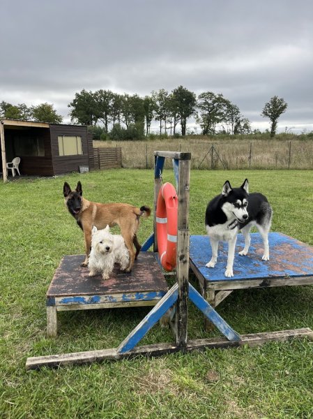 Aux Chiens Perchés 51