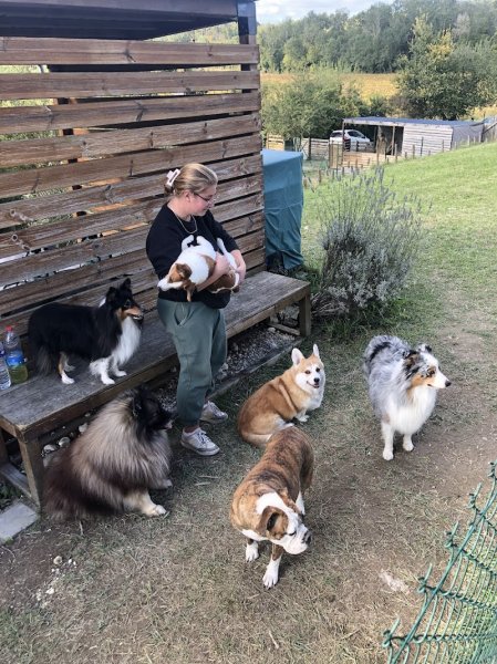 Aux Chiens Perchés 51 - photo 3