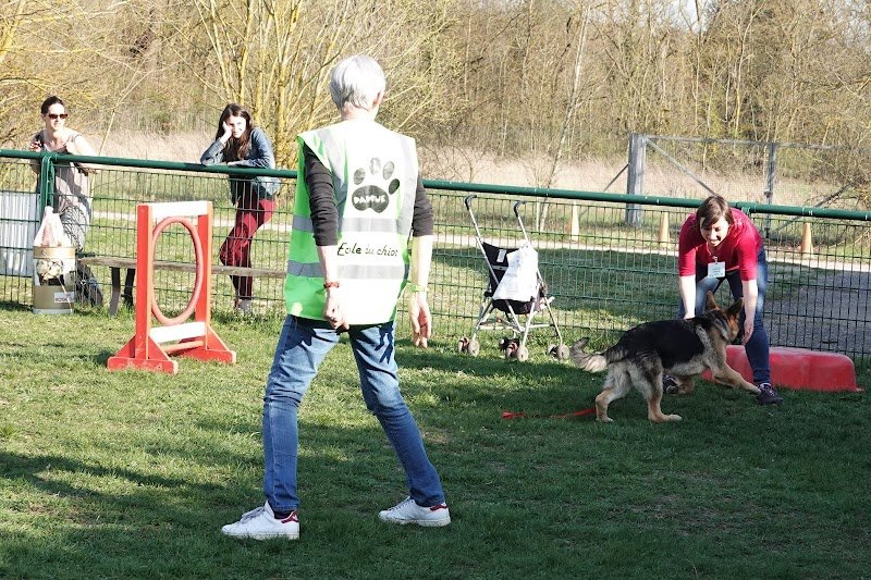 Club Cynophile du Toulois - Club Canin Toul - photo 2