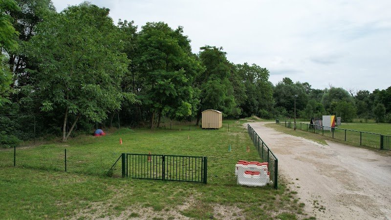 Club Cynophile du Toulois - Club Canin Toul - photo 3