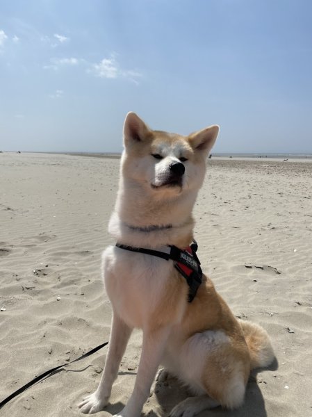 Oise Canin - photo 2