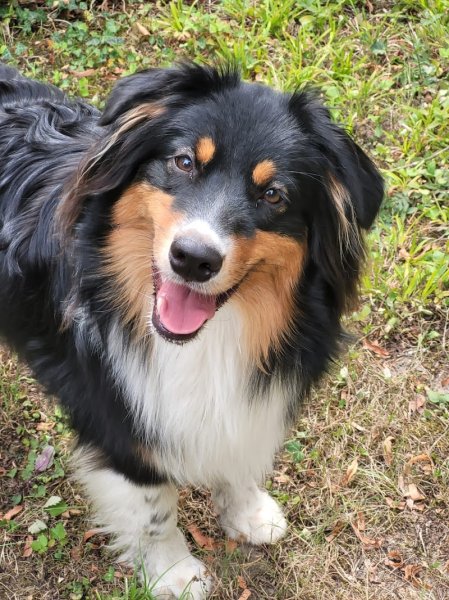 Oise Canin - photo 3