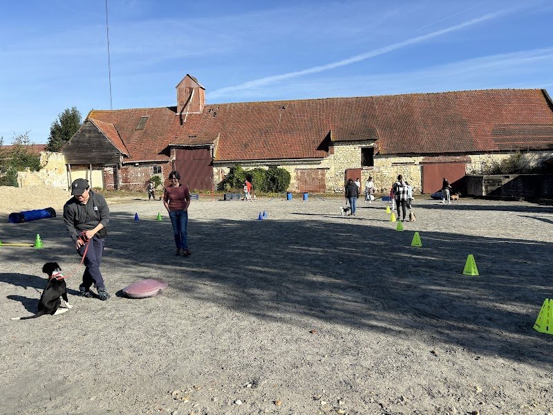 School Dog 60 / Centre Canin /Oise/ Tous chiens / Cours chiots - photo 2