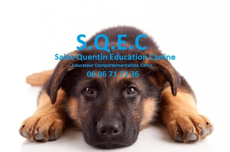 Saint Quentin Éducation canine