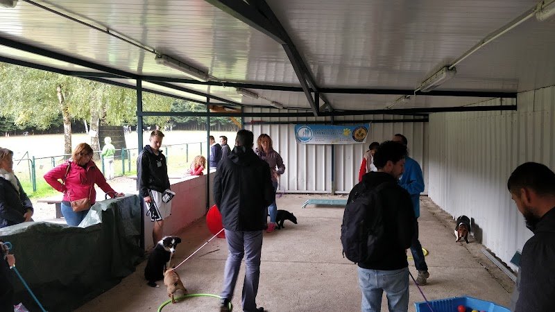 Club d'Éducation Canine de Gauchy - photo 2