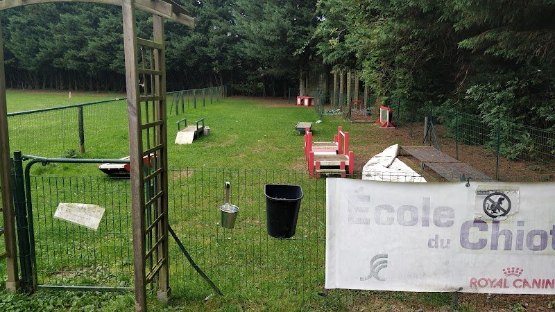 Club d'Éducation Canine de Gauchy - photo 3