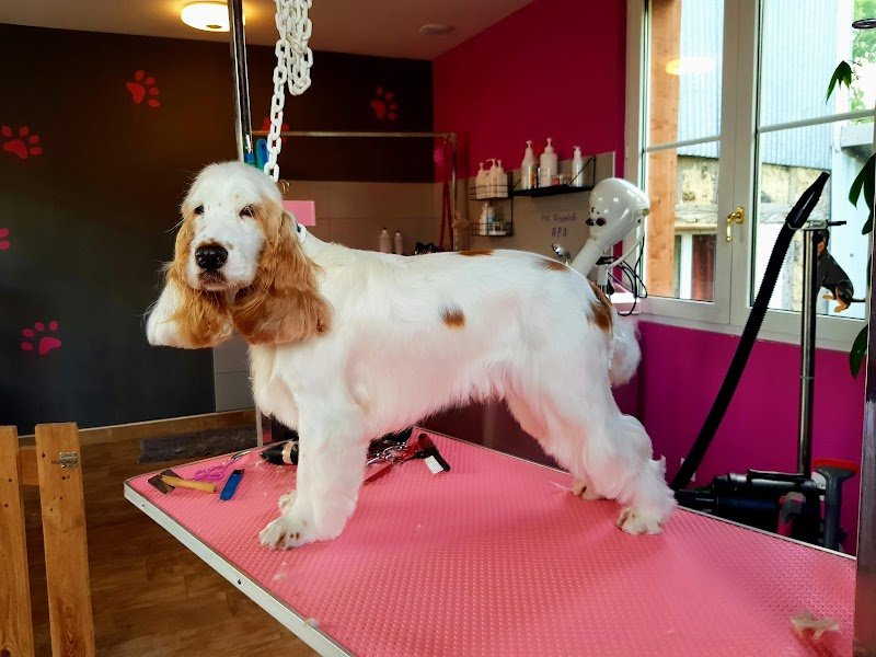 Doghoff'Natural - photo 1