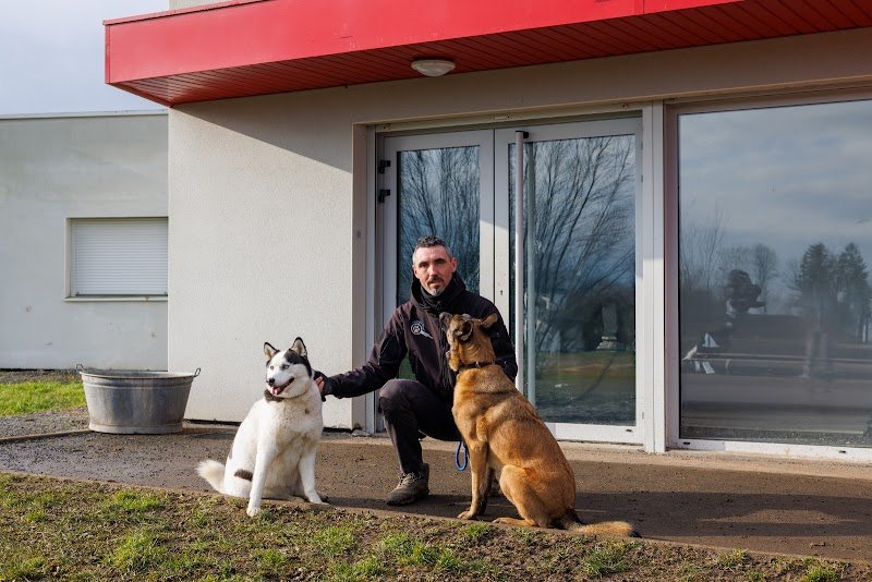 Centre canin Decript'dog – Educateur et comportementaliste canin à Merville