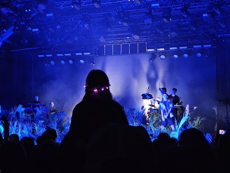 Le Chien à Plumes - photo 1