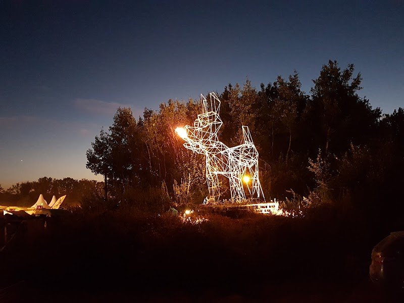 Le Chien à Plumes - photo 3