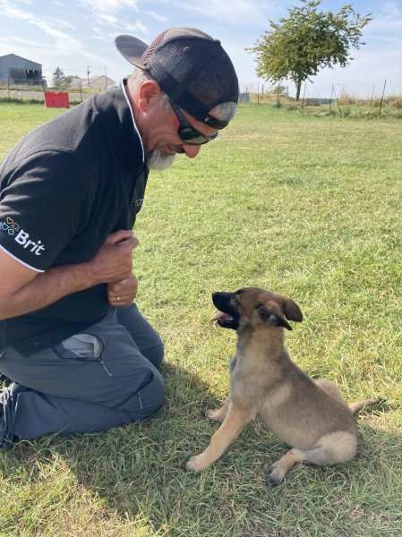 centre Canin du Longeau - photo 1