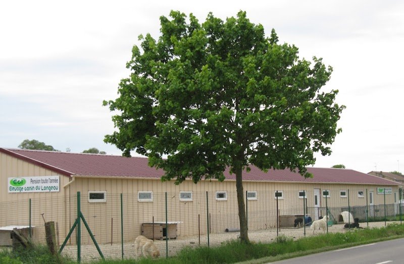 centre Canin du Longeau - photo 2